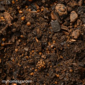 Types of compost for gardening