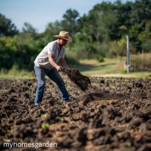 Types of compost for gardening